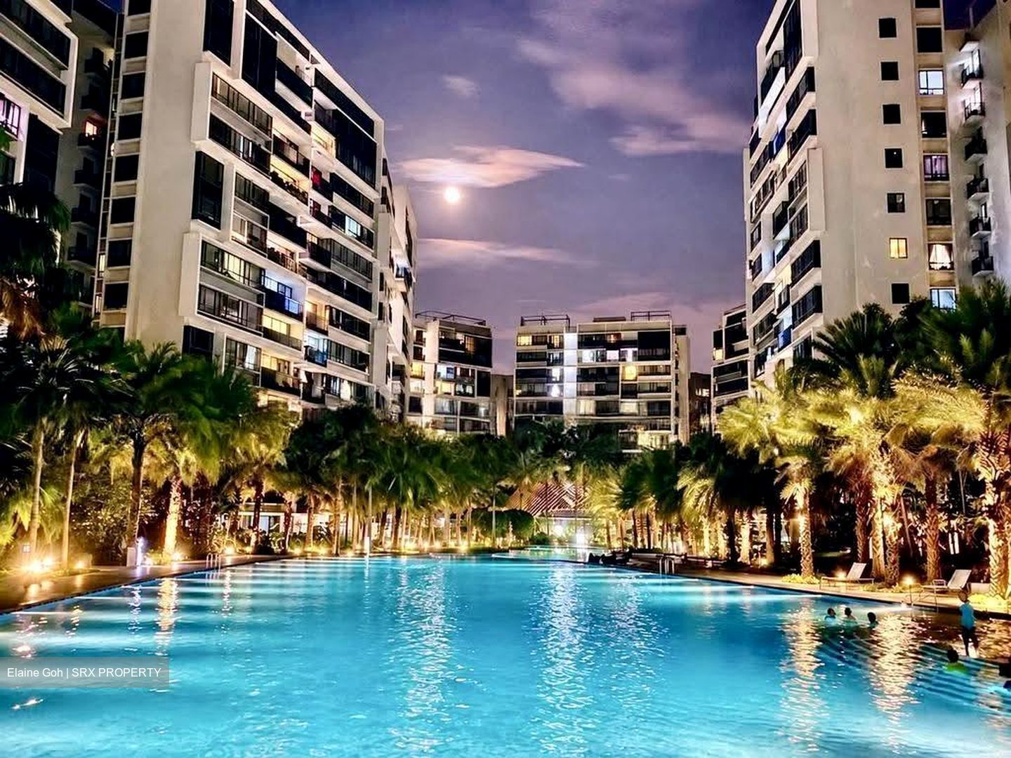 The Palette (D18), Condominium #623264811